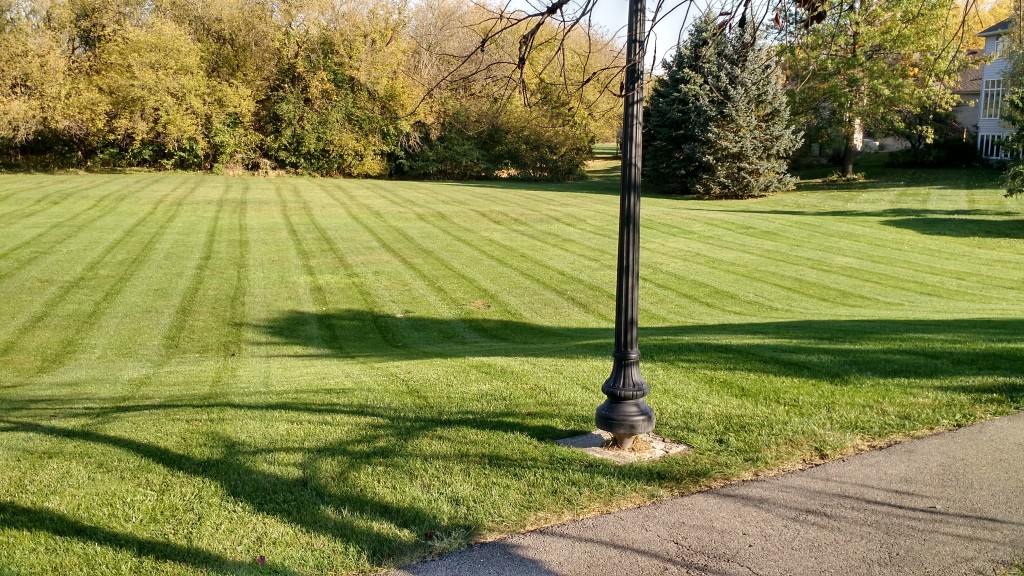 HOA lot, organically fertilized